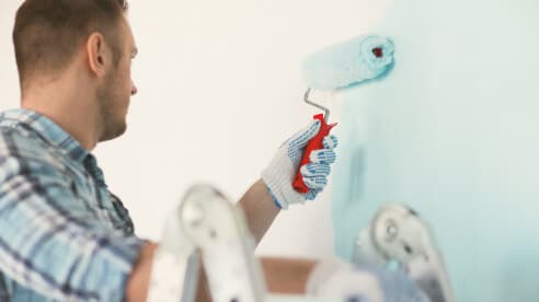 Painting and Decorative Plasters