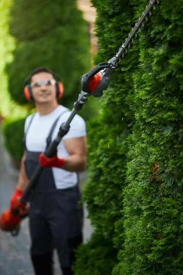 Rimozione di alberi e arbusti