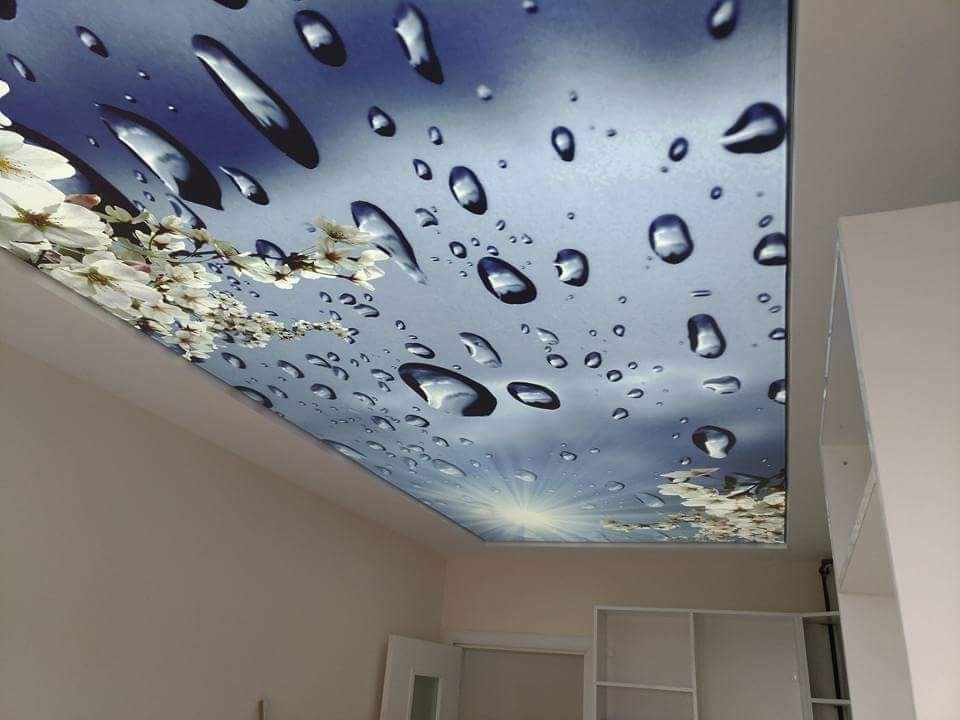 Stropovi od barisola